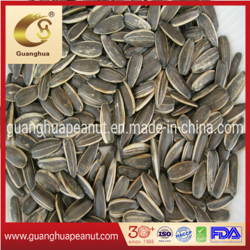 Perfect Quality Sunflower Seeds New Crop with Ce